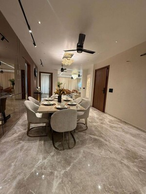 Living Room in 1 BHK Apartment at Dlf Cyber City, Sector 24 – for Rent