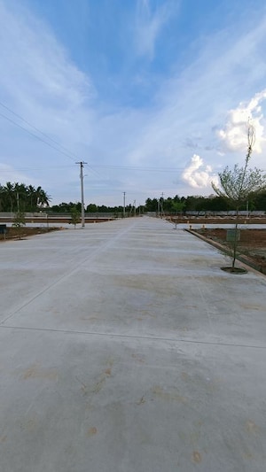 Plot Area in  Plot at Panjappur – for Sale