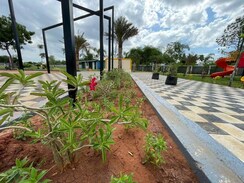 Plot For Sale in Panjappur