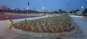 Plot Area in  Plot at Kk Nagar – for Sale