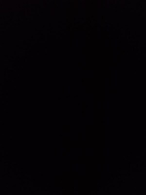 3 BHK Apartment For Sale in Aloha Towers, Baner