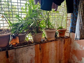  3 BHK Apartment at Krishnanagar – for Sale