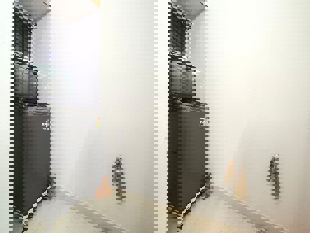 2 BHK 1200 Sq.Ft. Apartment in Scion Enclave