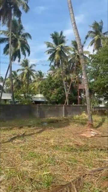  Plot – Garden View at Ayyanthole - for Sale