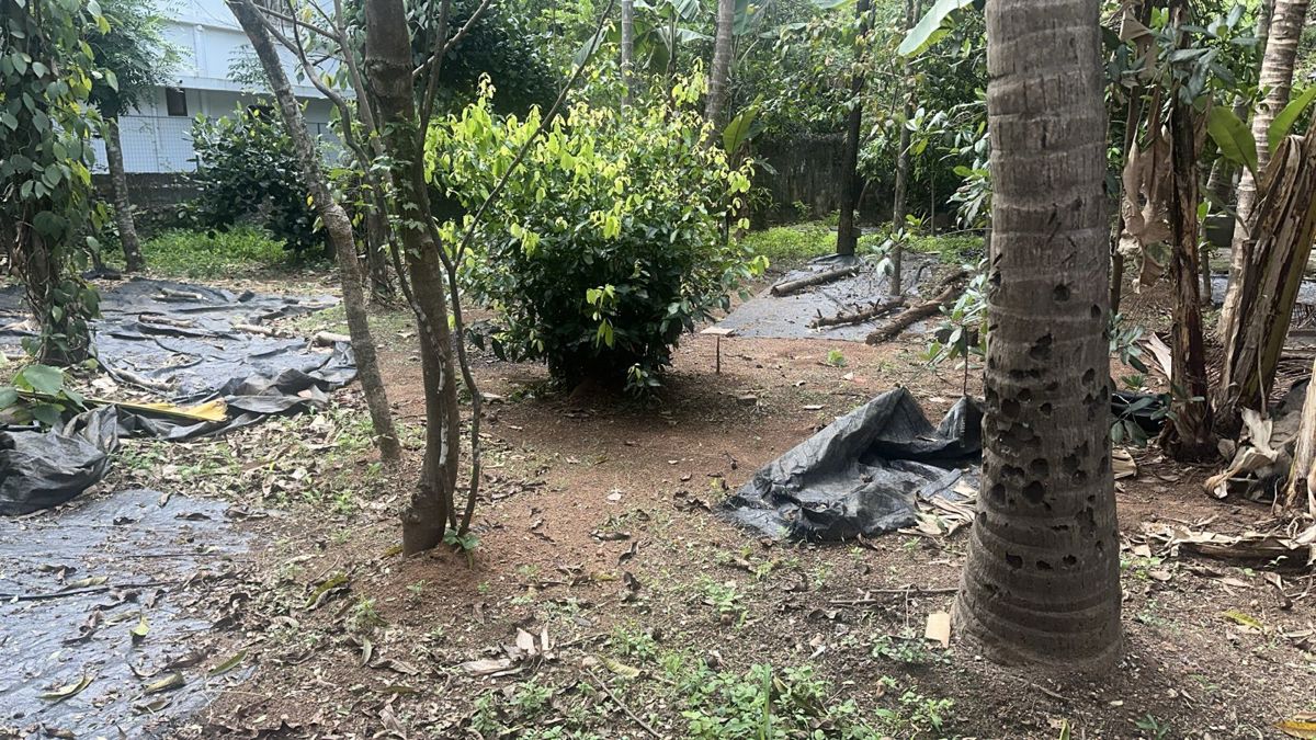 Plot For Sale in Kuttanellur