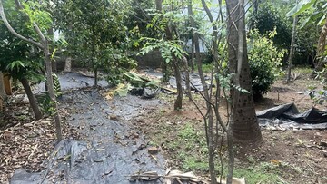 Plot Area in  Plot at Kuttanellur – for Sale