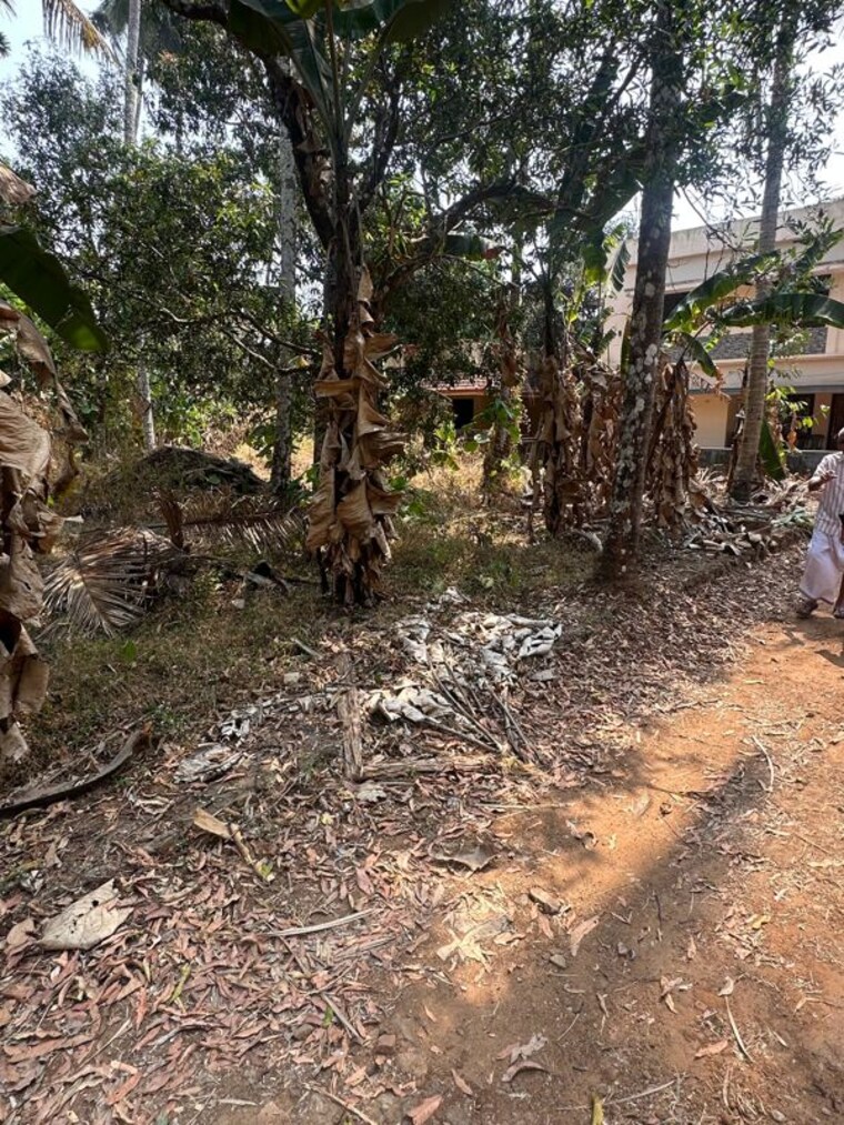 undefined, kolazhy  4358 Sq.Ft. Plot In Kolazhy Thrissur 10065124