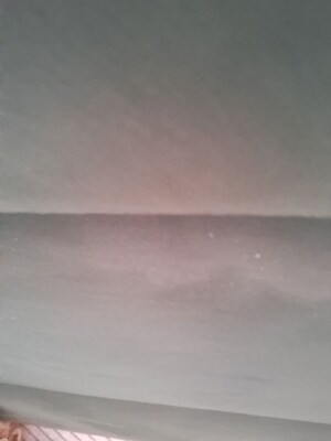 2 BHK Apartment For Rent in Sector 70