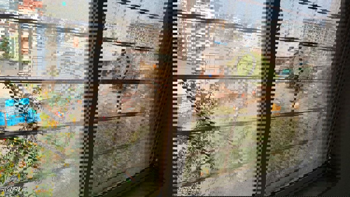 2 BHK 688 Sq.Ft. Apartment in Shivam 19 Grand West