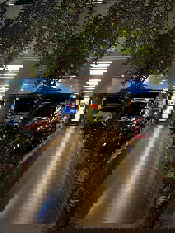 1 BHK + Pooja Room 500 Sq.Ft. Apartment in Venkatesh Graffiti