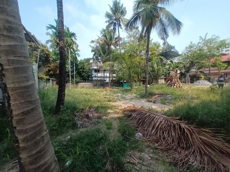 Garden, edappally  6097 Sq.Ft. Plot In Edappally Kochi 10065669