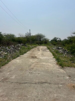  Plot For Sale in Katpadi