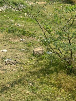 Plot Area in  Plot at Katpadi – for Sale