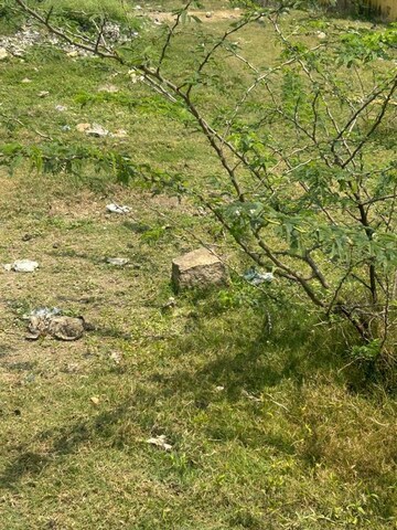 Plot Area in  Plot at Katpadi – for Sale