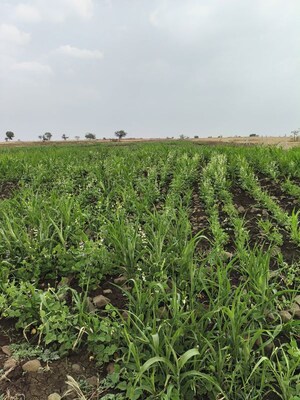 Plot Area in  Plot at Kukatpally – for Sale