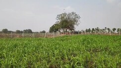 Plot For Sale in Kukatpally