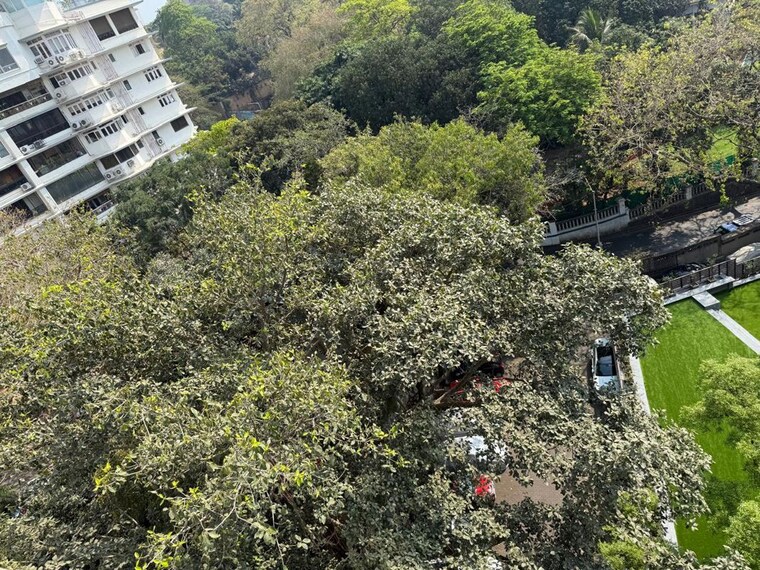 Garden, anita-apartments-malabar 4 Bedroom 2200 Sq.Ft. Apartment In Malabar Hill Mumbai 10066069
