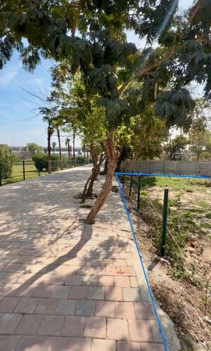 Plot Area in  Plot at Elan The Presidential, Sector 106 – for Sale