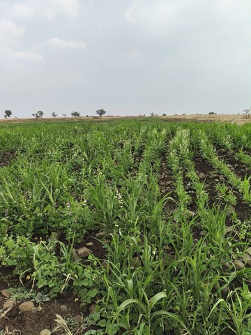 Plot Area in  Plot at Kukatpally – for Sale