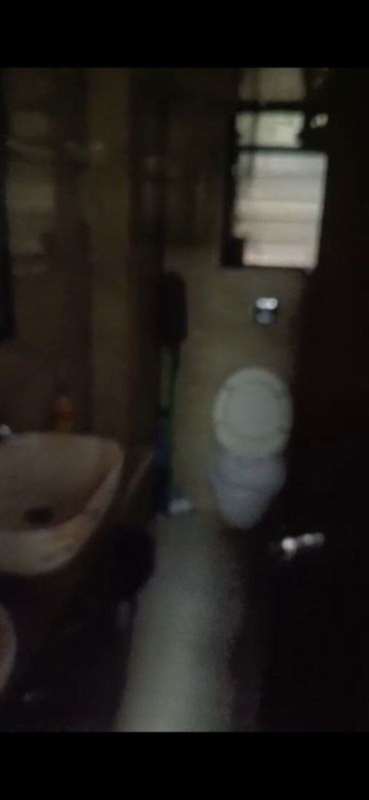 Bathroom, twin-complex Commercial Office Space 400 Sq.Ft. In Andheri East Mumbai 10066448