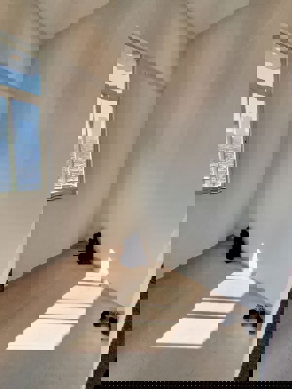 1 BHK 280 Sq.Ft. Apartment in Group Satellite Aarambh