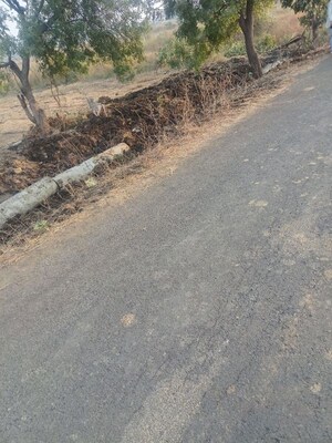 Plot Area in  Plot at Mohgaon – for Sale