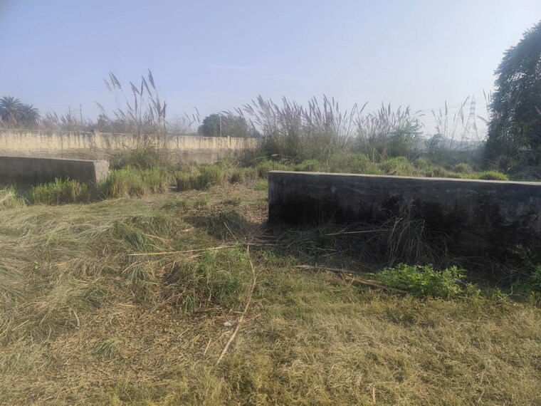 undefined, sector 99a  1620 Sq.Ft. Plot In Sector 99a Faridabad 10067026