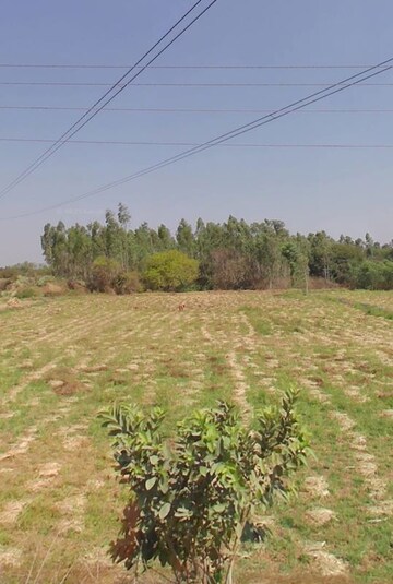 Plot Area in  Plot at Bidadi – for Sale