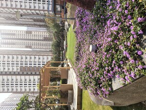 2 BHK Apartment – Exterior View View at My Home Avatar, Gachibowli - for Rent