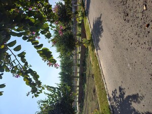  Plot – Garden View at Rambha Corona Greens, Sohna Sector 5 - for Sale