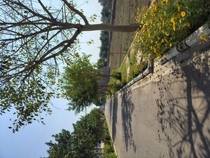  Plot – Exterior View View at Rambha Corona Greens, Sohna Sector 5 - for Sale