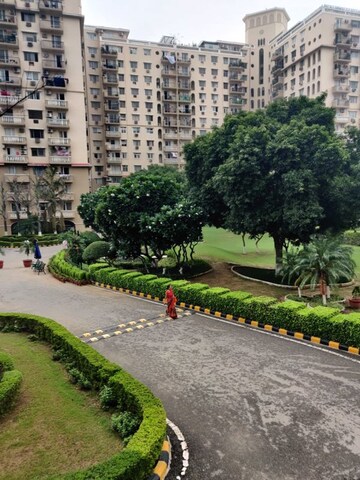 4 BHK Apartment – Garden View at DLF Oakwood Estate, Dlf Phase ii - for Rent