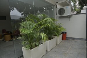 Balcony in 1 BHK Builder Floor at Sector 42 – for Rent