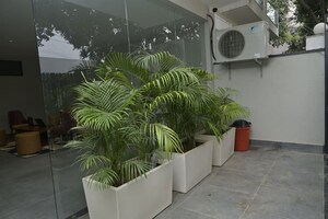 Balcony in 1 BHK Builder Floor at Sector 42 – for Rent