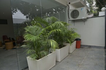 Balcony in 1 BHK Builder Floor at Sector 42 – for Rent