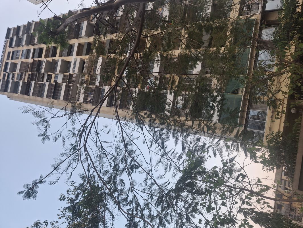 2 BHK Apartment For Rent in Vipul Mahavir Sapphire