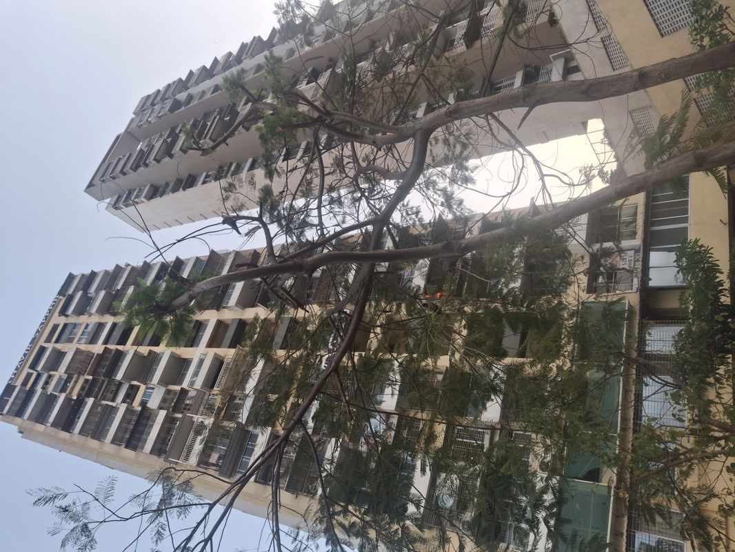 2 BHK 1269 Sq.Ft. Apartment in Vipul Mahavir Sapphire