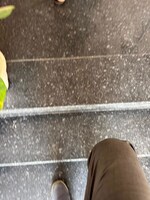 2 BHK + Extra Room 950 Sq.Ft. Apartment in RWA Apartments Sector 116