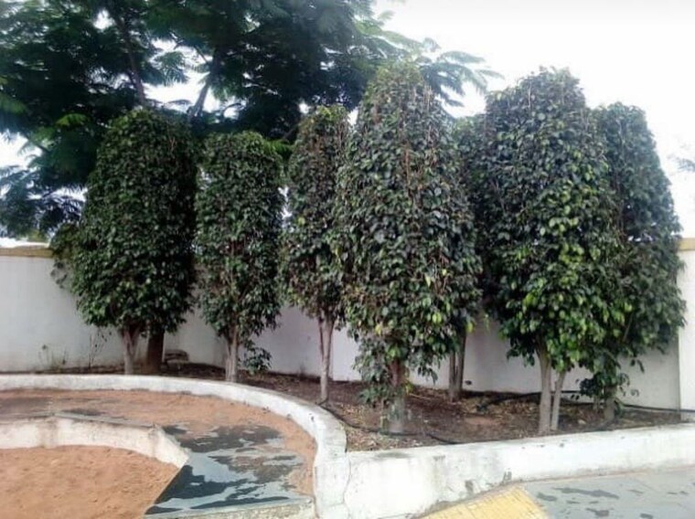 Exterior View, deokar-residency 2 Bedroom 756 Sq.Ft. Apartment In Wadgaon Sheri Pune 10068860