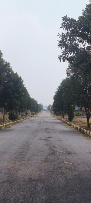  Plot – Exterior View View at Shadnagar - for Sale