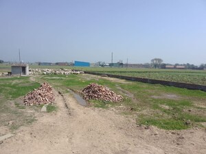  Plot For Sale in Kurali