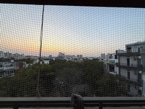 2 BHK Builder Floor – Exterior View View at Suncity - for Rent