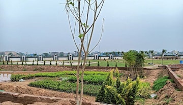 Plot Area in  Plot at Bhogpur – for Sale