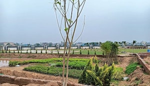  Plot For Sale in Bhogpur