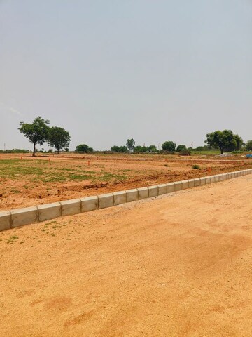 Plot Area in  Plot at Sector 3 Greater Noida – for Sale