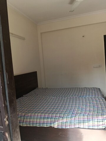 3 BHK Builder Floor For Rent in Sector 14