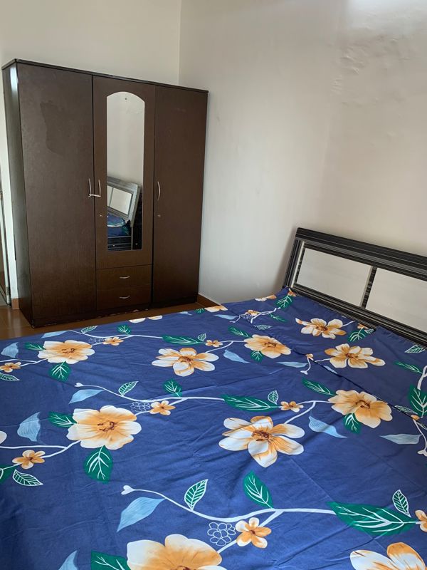 1 BHK Apartment For Rent in DB Orchid Ozone