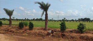 Plot Area in  Plot at Sector 3 Greater Noida – for Sale