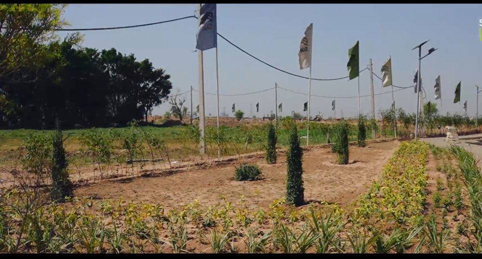 Plot For Sale in Panchkula Urban Estate