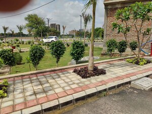  Plot – Exterior View View at Pataudi - for Sale